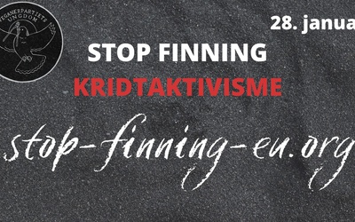 STOP FINNING: Kridtaktivisme