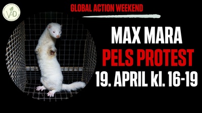 Max Mara pelsprotest